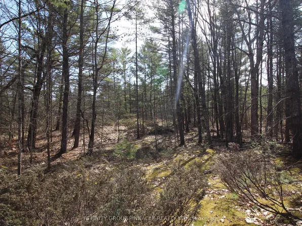 15 Concession St #9, Havelock Belmont Methuen, ON K0L 1Z0