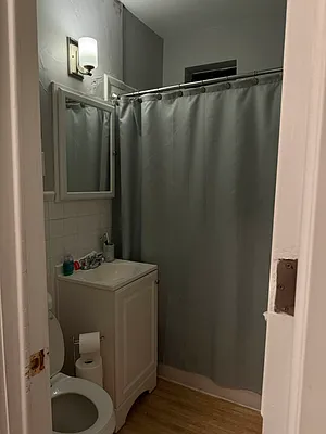 Rented by Voro NYC | media 6