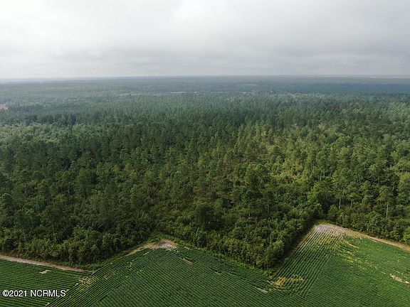5th image of 182.65 Ac. Nc 210 Highway W