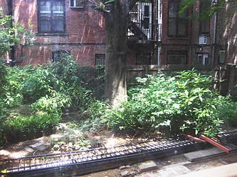 Rented by Awaye Realty Management LLC