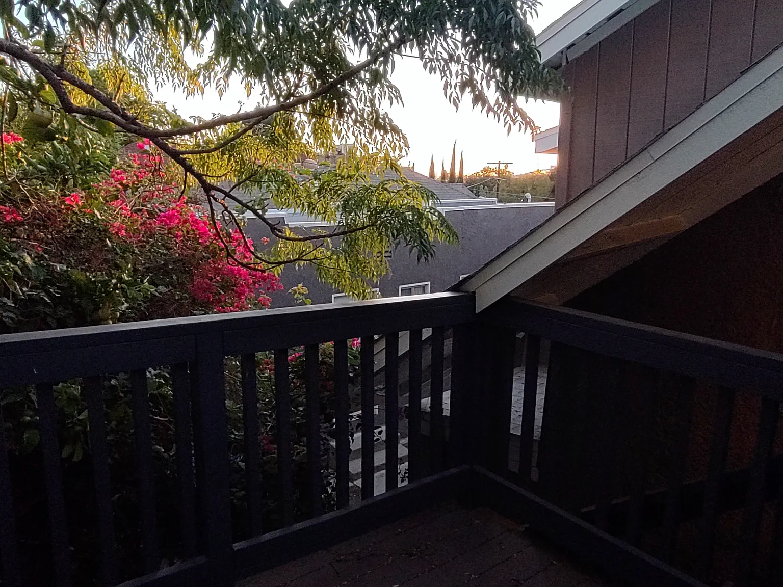2 bed, 1000 sqft, $3,195 — Photo 4