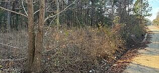 2nd image of 278 Sylvester Road