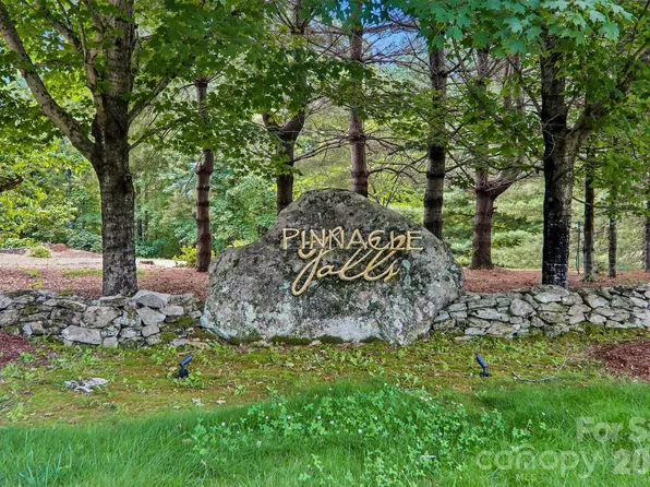 11 Magnolia Branch Dr, Zirconia, NC 28790