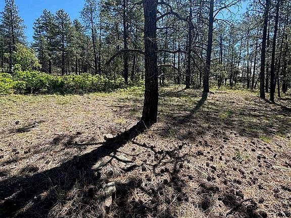 4th image of 1523 West View Road