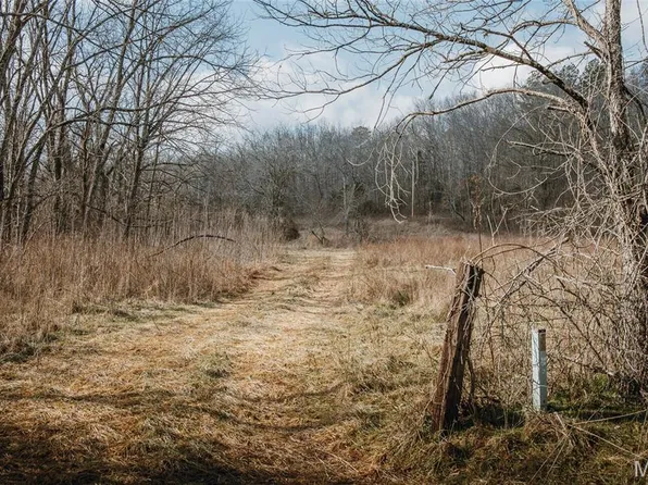 0 County Road 404 #3, Ellington, MO 63638