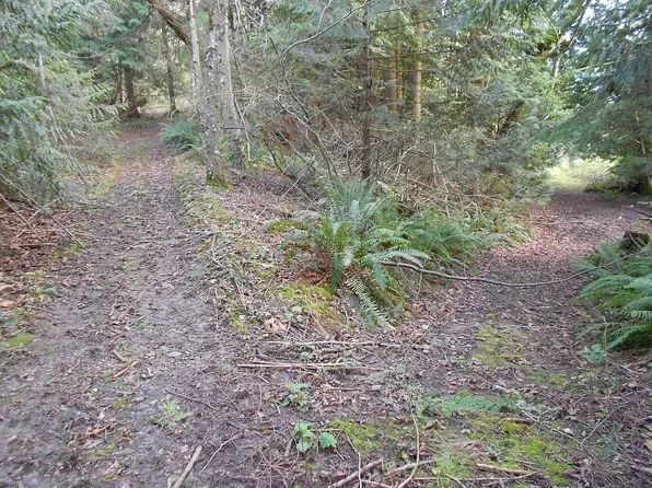 6190 Hoff Cir, Everson, WA 98247