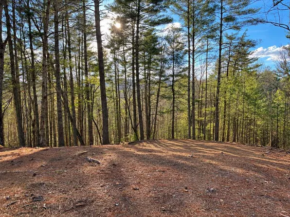 73 Jasmin Ct, Ellijay, GA 30540