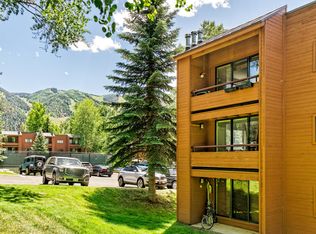1328 Vine St #1328, Aspen, CO 81611