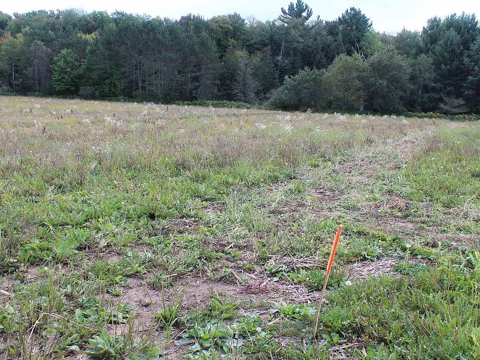 1st image of 16 ACRES WOODLAND DRIVE