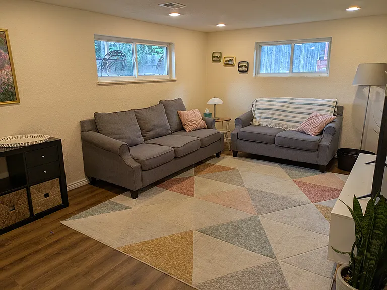downstairs family room