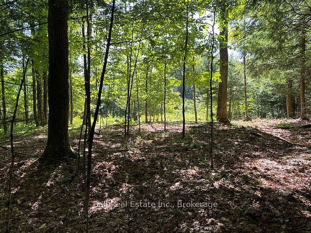 1st image of Conestoga Rd Lot 15