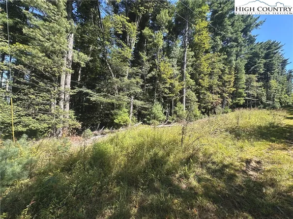 TBD Pine Grove Circle, Glade Valley, NC 28627