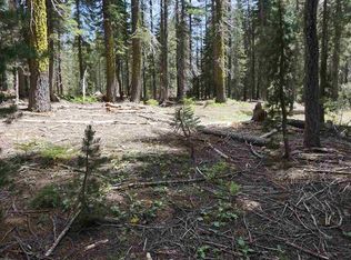 1390 Fern Dr, Bucks Lake, CA 95971