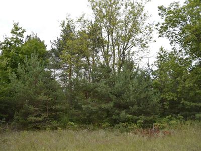 0 County Line Rd, Mancelona, MI, 49659