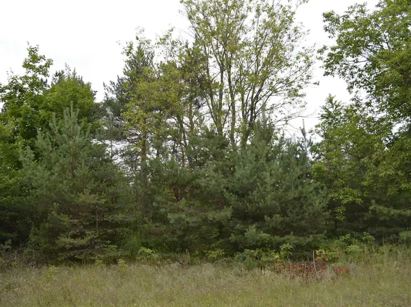 0 County Line Rd, Mancelona, MI 49659