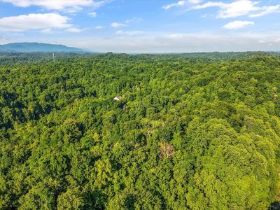 1717 Long Branch Rd, Seymour, TN, 37865