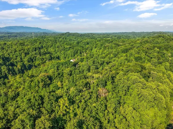 1717 Long Branch Rd, Seymour, TN 37865