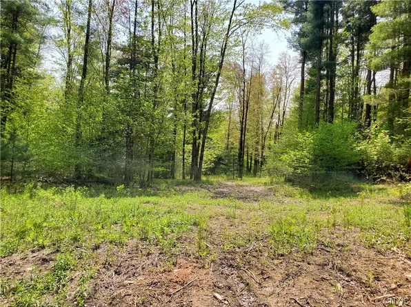0 Stone Hill Rd #7, Williamstown, NY 13493