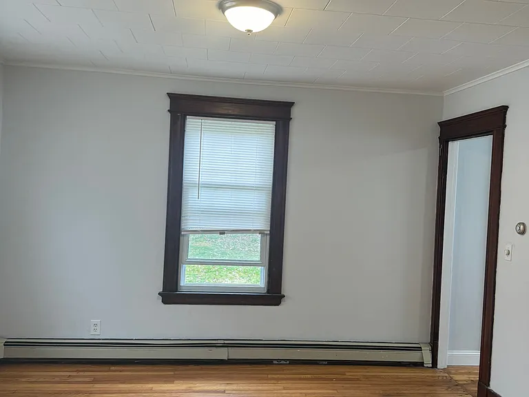 31 Ellsmere Ave — Photo 8