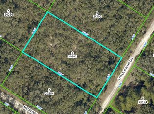 0 Little Stone Dr, Webster, FL 33597