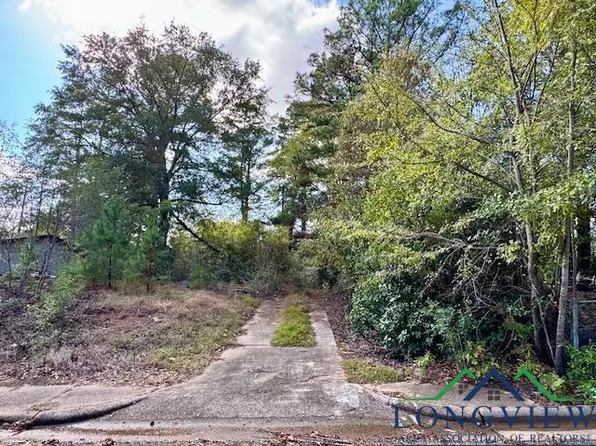 253 San Jacinto St, Lone Star, TX 75668
