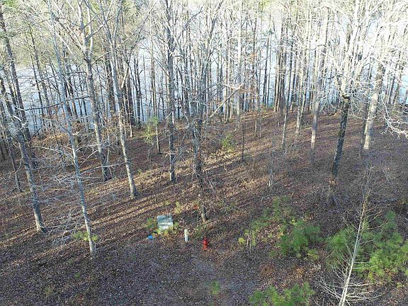 4th image of 5A Fox Creek Rd #5A