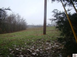 000 South Rd, Cadiz, KY 42211