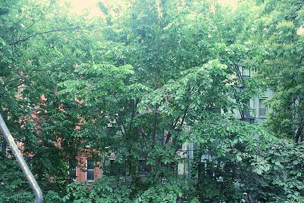 Rented by Urban Real Estate Inc | media 23