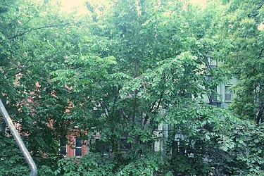 Rented by Urban Real Estate Inc