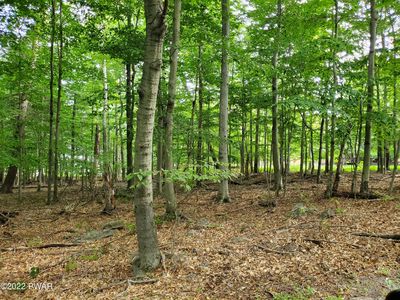 LOT-686A Hickory Ln, Greentown, PA, 18426