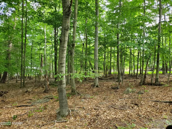 LOT-686A Hickory Ln, Greentown, PA 18426