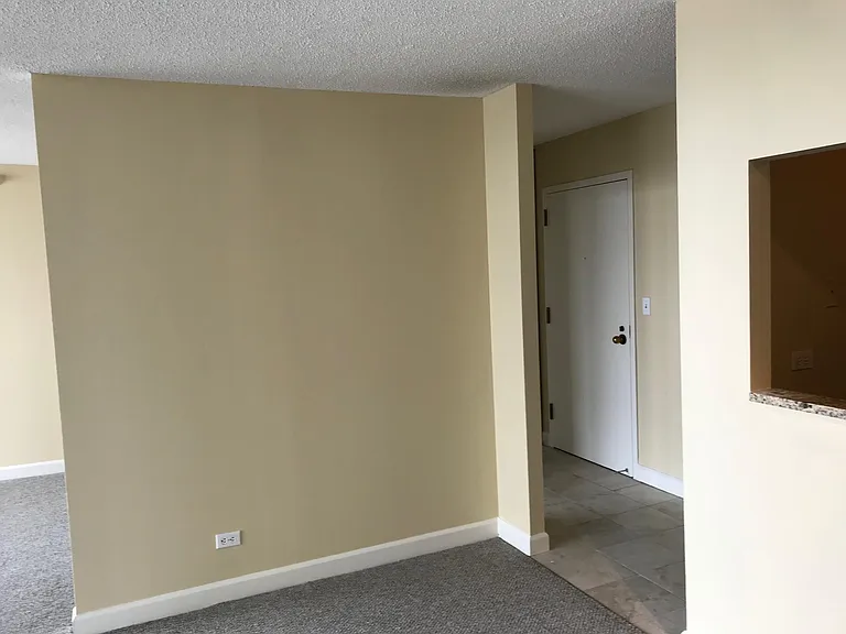 10 E Ontario St #3407 — Photo 11