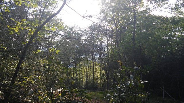 1st image of 0 Blue Sky Ln
