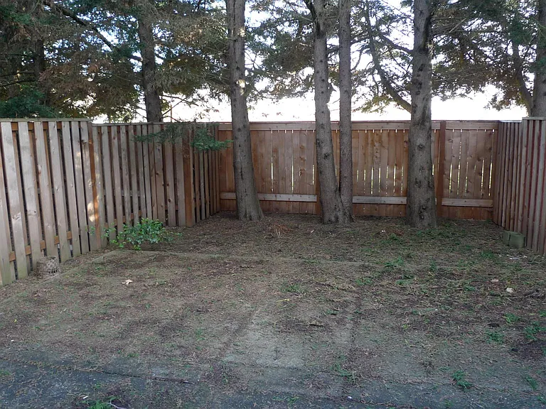 fenced backyard