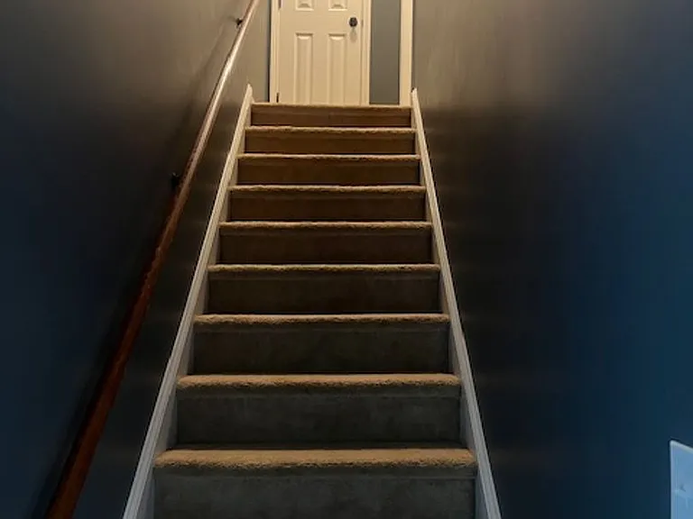 436 Chester Lake Pl — Photo 21