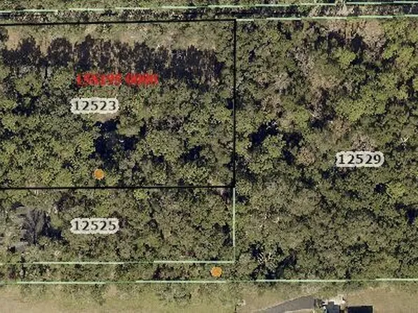 12523 ALADDIN Road, Jacksonville, FL 32223