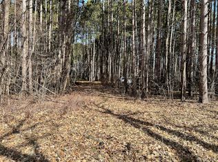 9047 Pineview River Dr, Linden, MI 48451