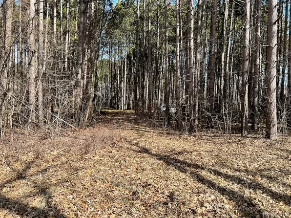 9047 Pineview River Dr, Linden, MI 48451