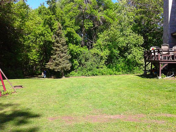 wooded view from back yard