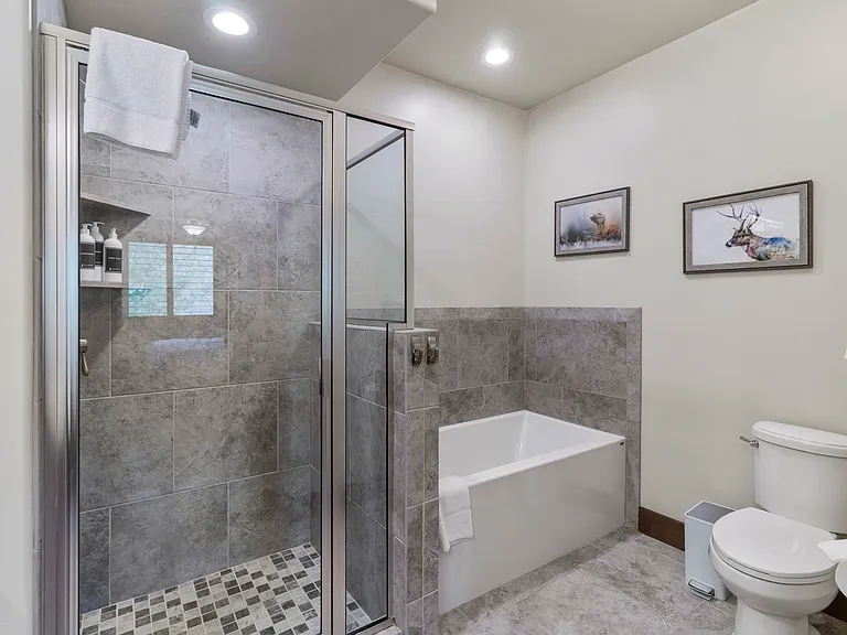 Bathroom 1 / Primary Bedroom Suite