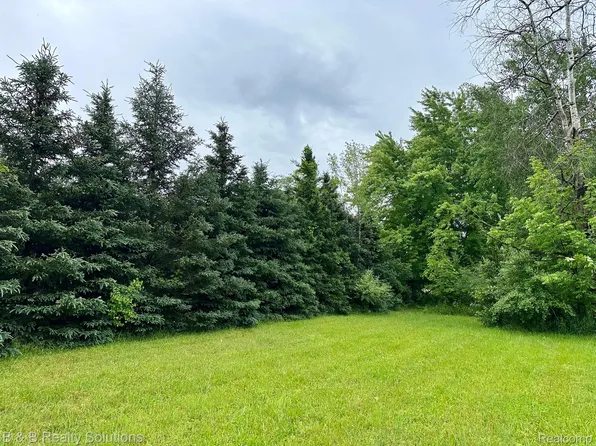 0 S Lake Pleasant Rd, Metamora, MI 48455