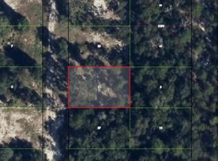 3635 S Cormorant Ter, Inverness, FL 34450