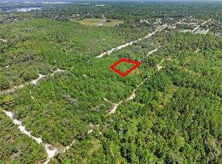 PARCEL 229 E Holly Hock Rd LOT 229, Deland, FL 32724