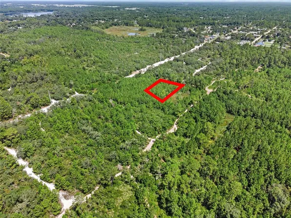 PARCEL 230 E Holly Hock Rd Lot 230, Deland, FL 32724