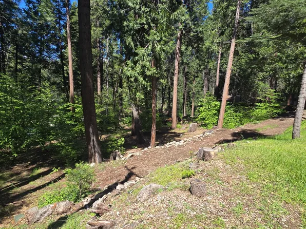 6771 Onyx Trl, Pollock Pines, CA 95726