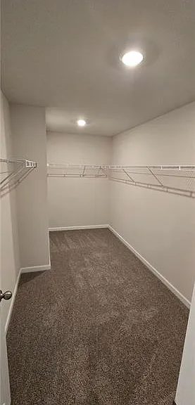 186 Meander Dr — Photo 15