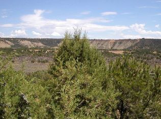 10689 County Road 213, Durango, CO 81303