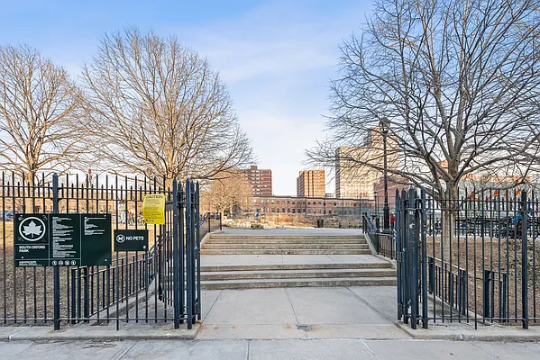 Rented by Douglas Elliman | media 6