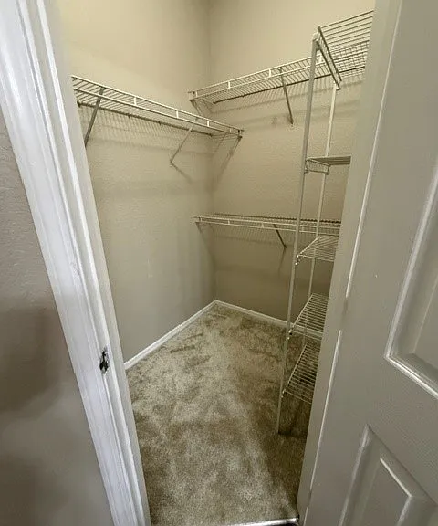 13215 Sanctuary Cove Dr #201 — Photo 6
