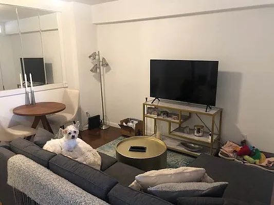 Rented by Douglas Elliman | media 11